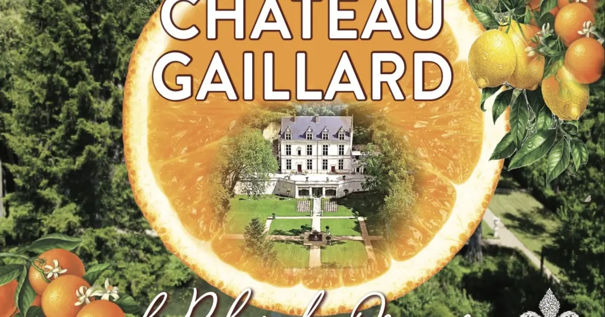 Château Gaillard