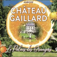  &copy; Château Gaillard Amboise 