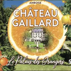 Château Gaillard à Amboise