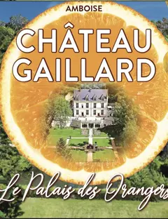 Château Gaillard à Amboise