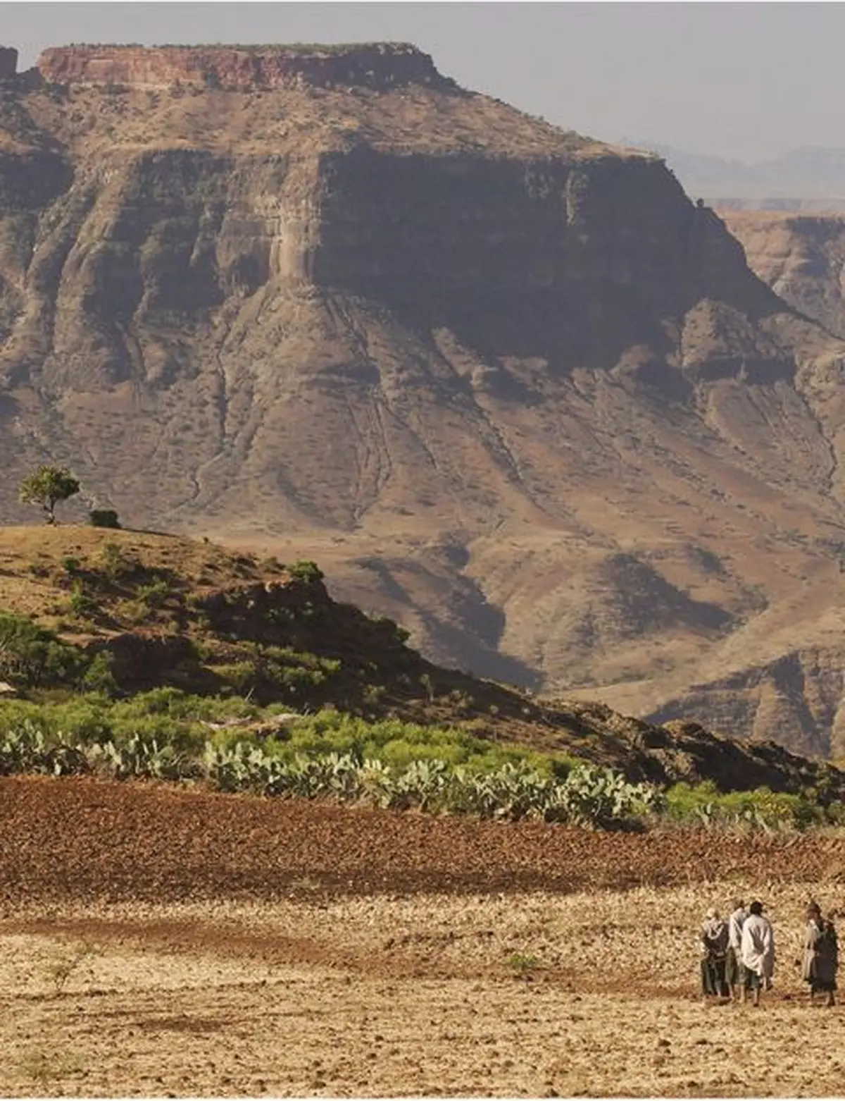 Ciné-conférence : Éthopie