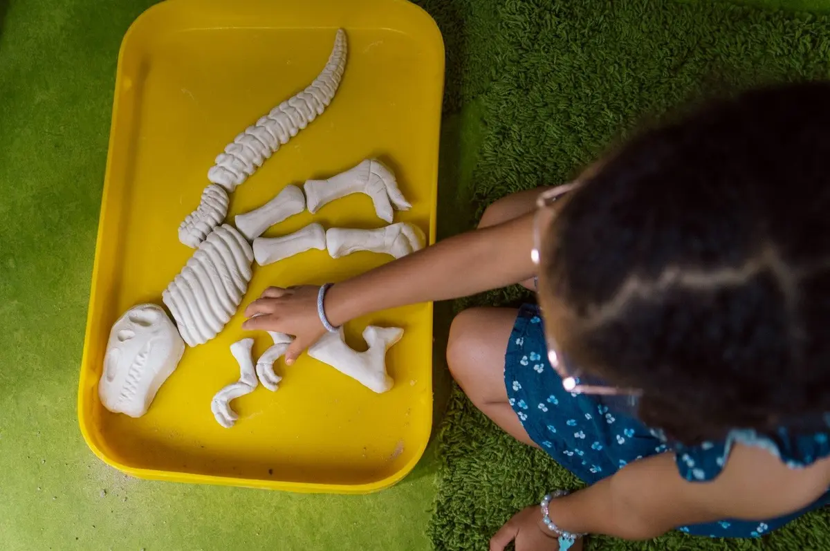 Mission Fouilles : les dinosaures disparus