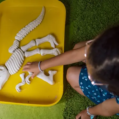 Mission Fouilles : les dinosaures disparus