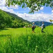 Lancement de la saison de randonnée en Foret Noire les 9 et 10 mai 