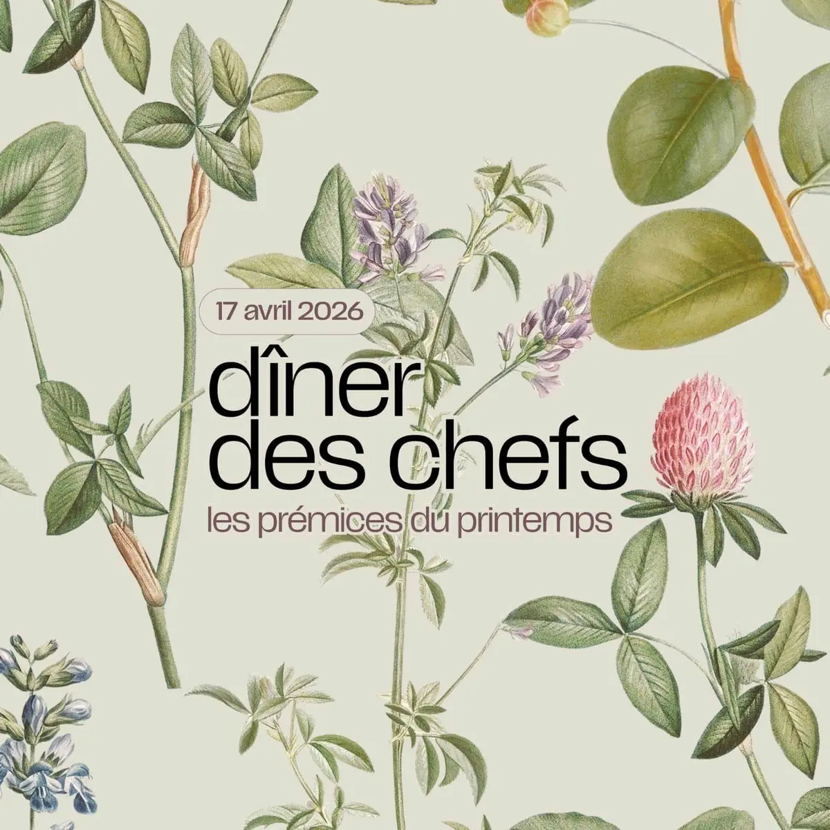 Dîner des chefs Les prémices du printemps