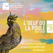 L'œuf ou la poule