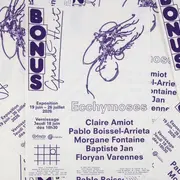 Ecchymoses, une exposition collective au Grand Huit