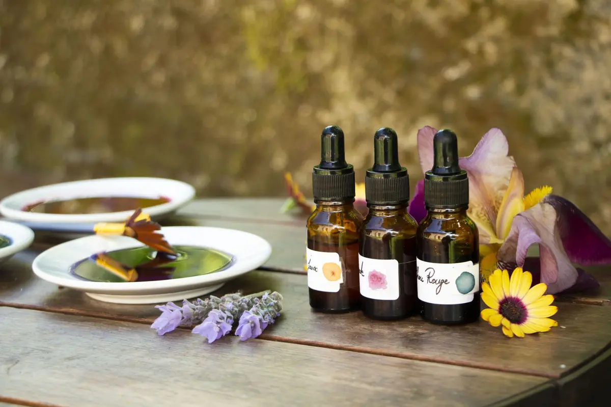 L'encrière Végétale