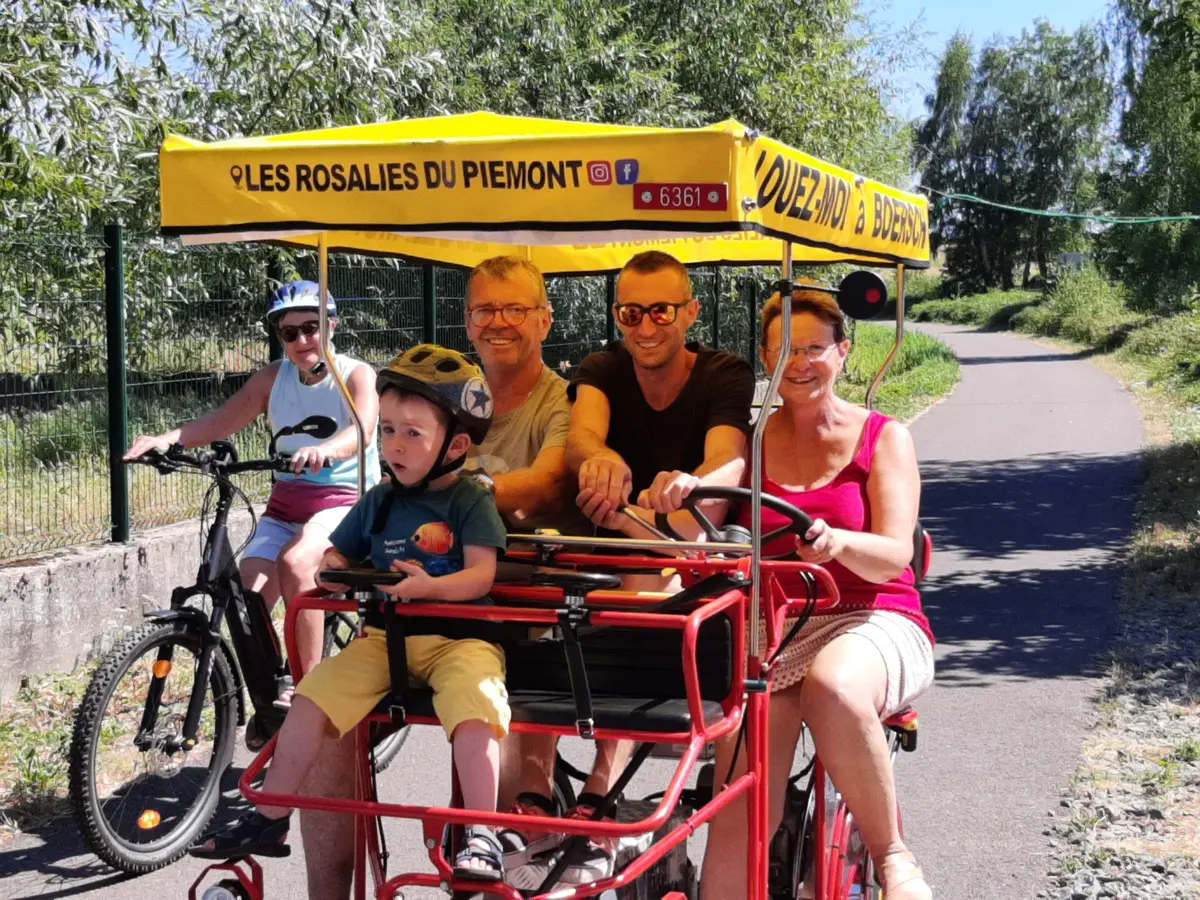 Les Rosalies Du Piemont à Boersch