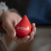 Don de Sang à Colmar