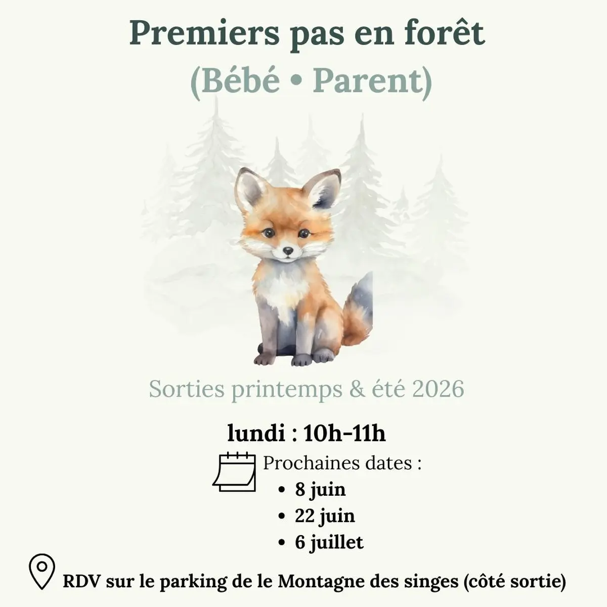 Premier pas en forêt