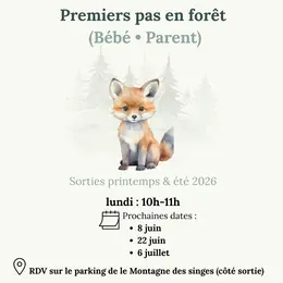 Premier pas en forêt