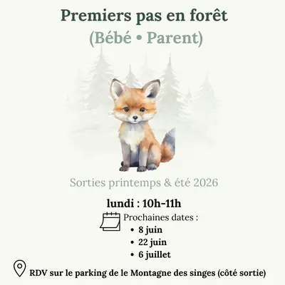 Premier pas en forêt