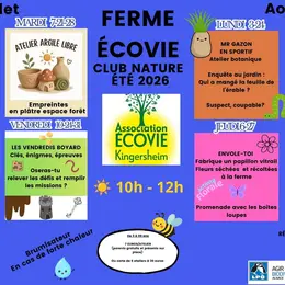 ateliers vacances d'été Ecovie
