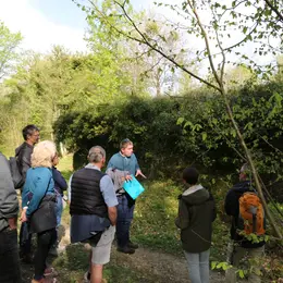 Visites rando 2h - Bois Fumin