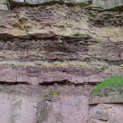 Rencontre d'auteurs : Les grès de construction de la cathédrale de Strasbourg