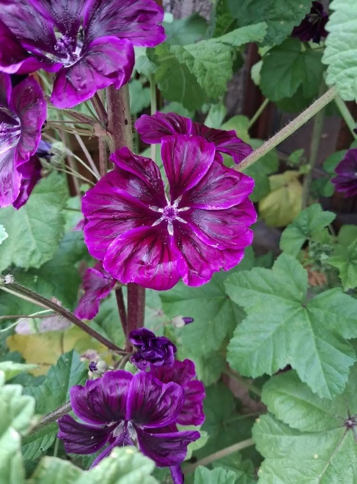 Éveillez le printemps