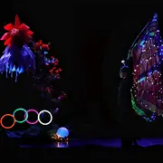Circ'o bulle 