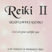 Stage Initiation Reiki Usui et Reiki Teate 2nd degré