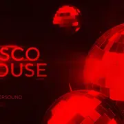Undersound - Disco House V Edition