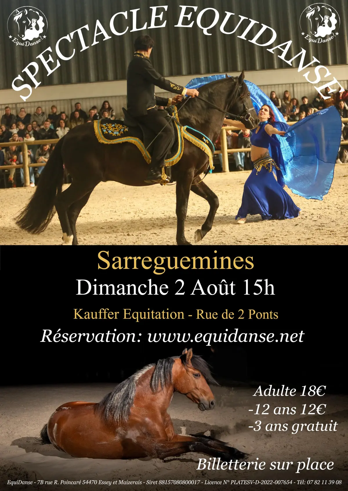 Spectacle Equestre  EquiDanse à Sarreguemines