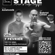 Stage MMA+Prépa Physique avec Aziatomik et Gabriel Levan (Le Local Montpellier)