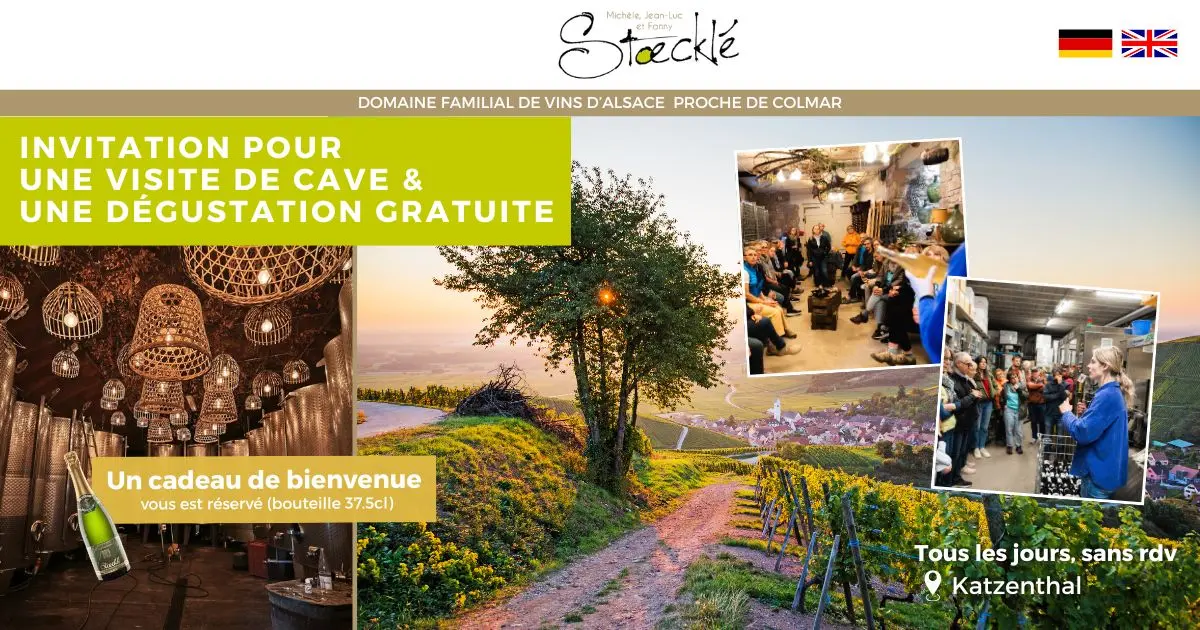 Visite de la cave Stoecklé et dégustation de vins d’Alsace