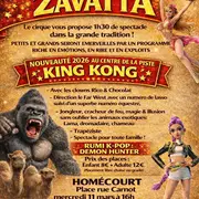 Cirque zavatta chine zavatta