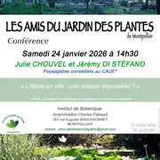 Conférence « L’Arbre en ville : une mission impossible ? »