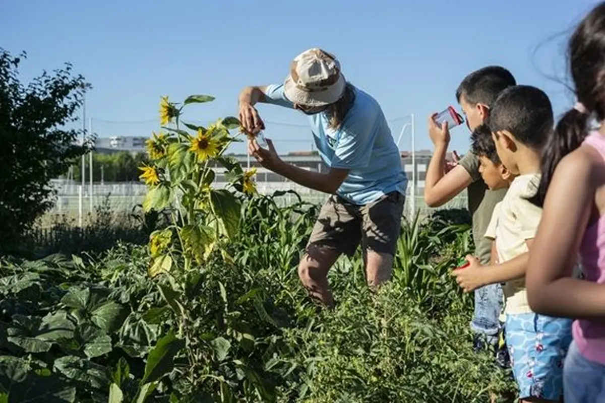 Un mercredi à la ferme autour des sols 