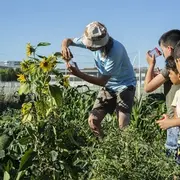 Un mercredi à la ferme autour des sols 