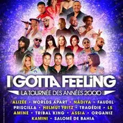 I Gotta Feeling La Tournée des Années 2000 
