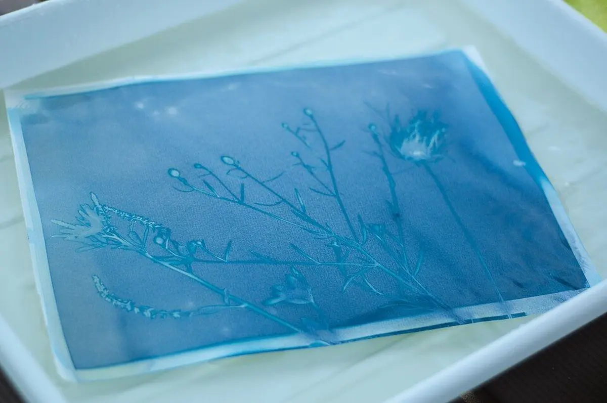 Impression, eau et lumière