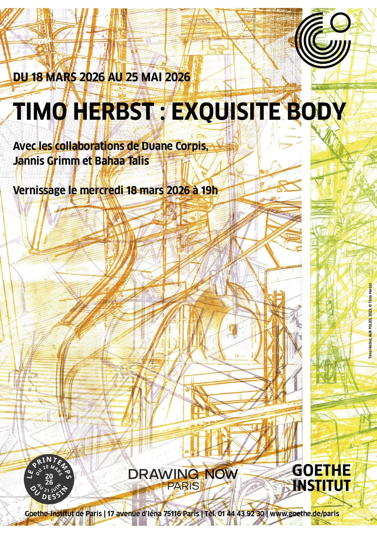 EXQUISITE BODY — Dessins, installations & vidéos de Timo Herbst