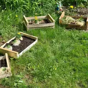 Atelier semis et bouturage 