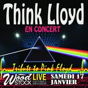 Think Lloyd, tribute to Pink Floyd chez Wood Stock Guitares