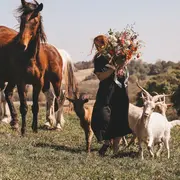 Exposition photographies