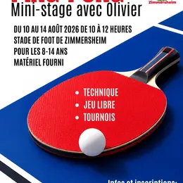 Mini-stage Ping-Pong