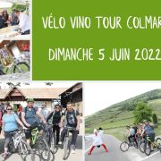 Vélo Vino Tour Colmar 