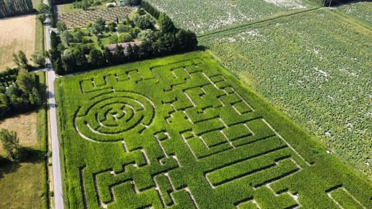 Labyrinthe Les Hautes Herbes