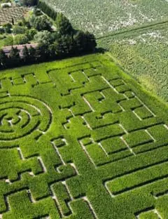 Labyrinthe Les Hautes Herbes