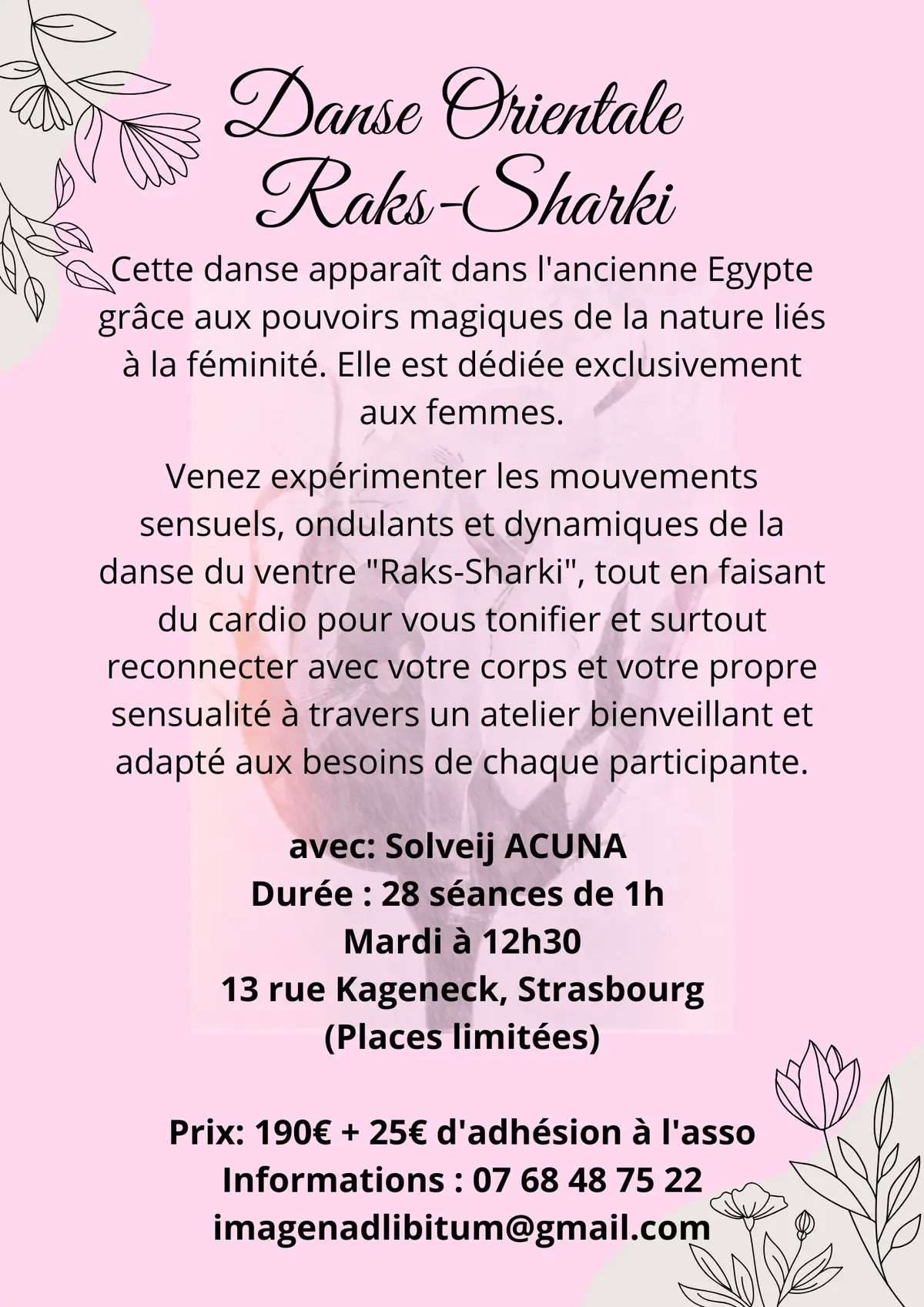 Danse Orientale - Raks Sharki