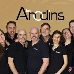 Faites entrer l'Anodin