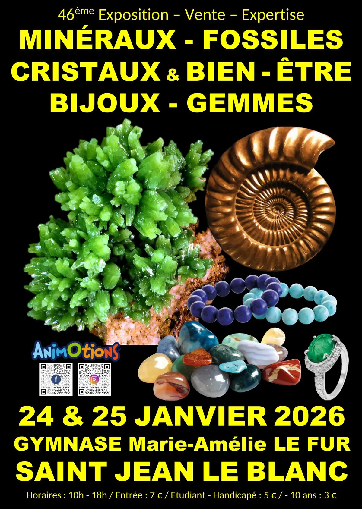 46ème Salon Minéraux Fossiles Gemmes Météorites Cristaux et Bijoux d'Orléans