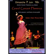 Grand Concert FLAMENCO avec Danseuse 