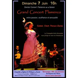 Grand Concert FLAMENCO avec Danseuse 