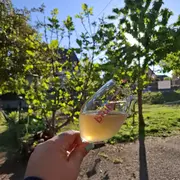 Apéro gourmand, vignerons indépendants