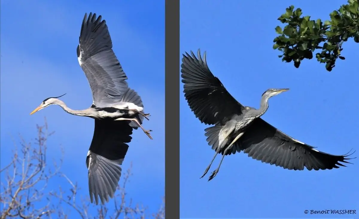 10 juillet 1976, ce jour où la Nature devient d'intérêt général