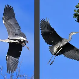 10 juillet 1976, ce jour où la Nature devient d'intérêt général