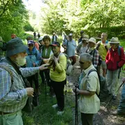 Sortie guidée printanière dans la forêt du Talrain